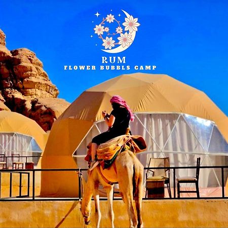Rum Flower Bubbles Luxury Camp Ουάντι Ραμ Εξωτερικό φωτογραφία