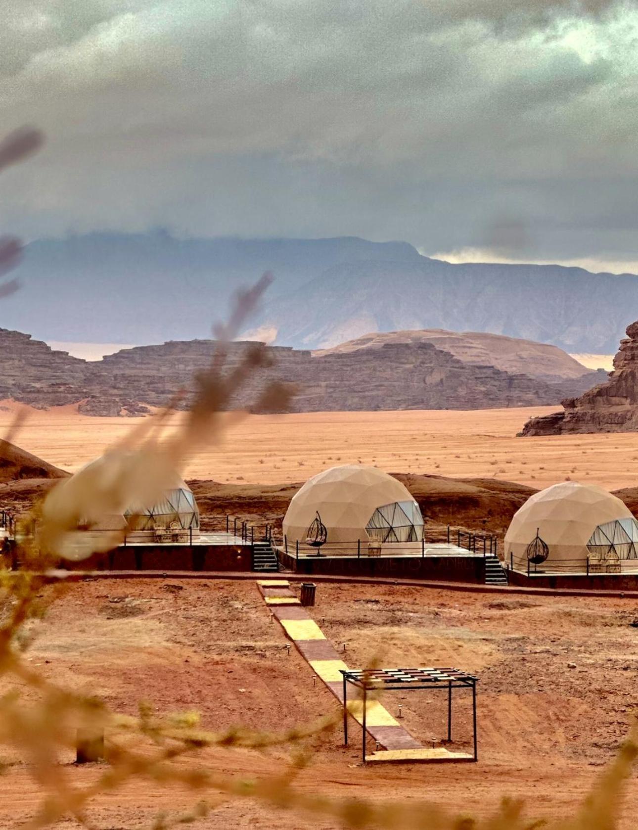 Rum Flower Bubbles Luxury Camp Ουάντι Ραμ Εξωτερικό φωτογραφία